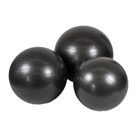Commercial Anti Burst Stability Balls