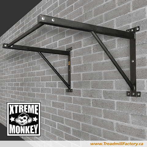 HEAVY DUTY WALL MOUNTED PULLUP BAR